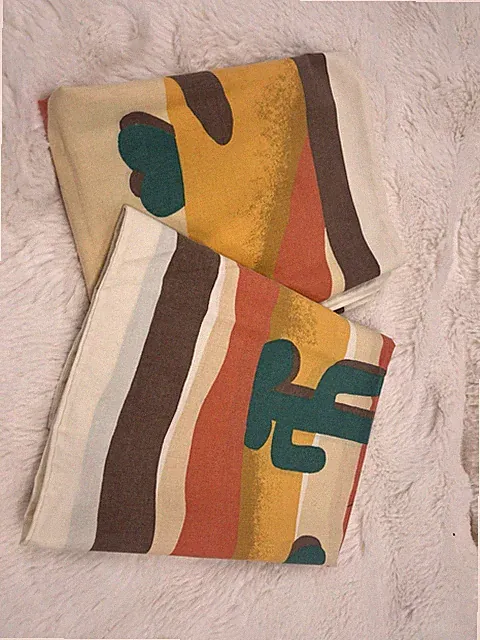 Vintage Wamsutta Ultracale Dakotah Desert Queen Pillowcase Set 1976 Southwest